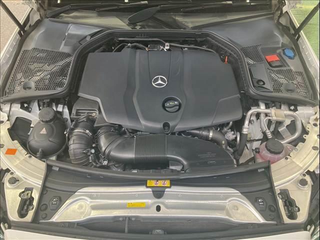 23028099_carP_l_6.jpg