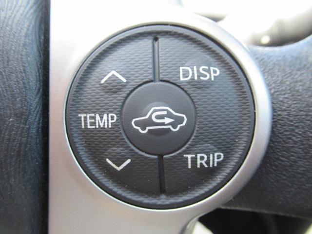 25779348_carP_l_19.jpg