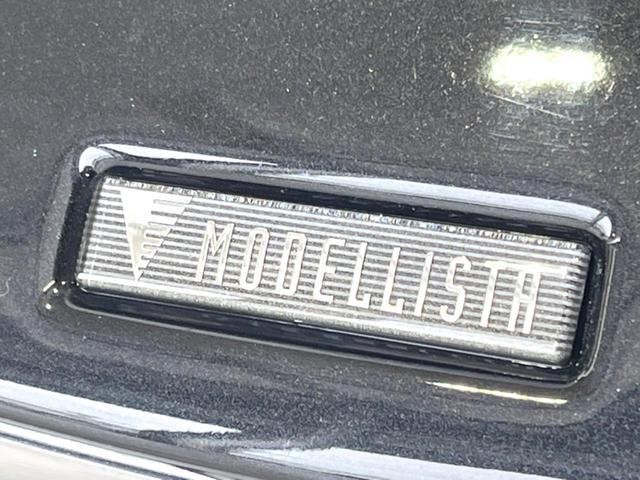 26106009_carP_l_4.jpg