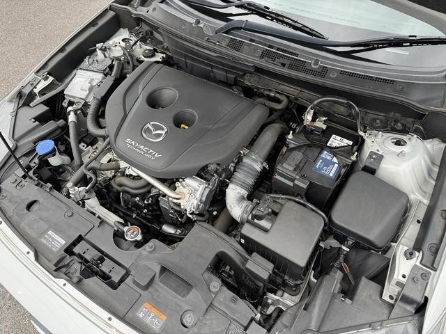 23295024_carP_l_20.jpg