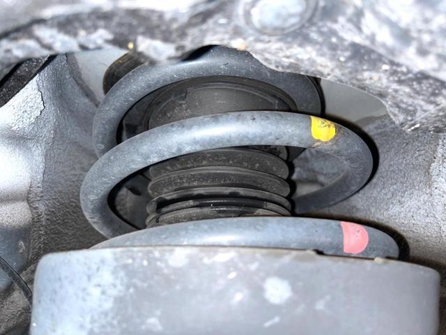 25096484_carP_l_20.jpg