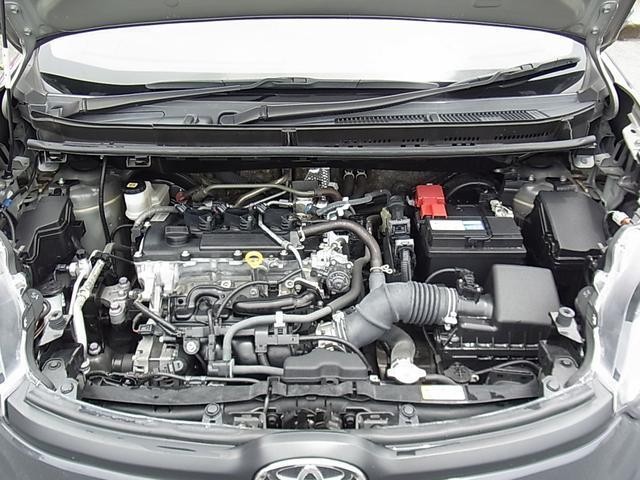 24762141_carP_l_5.jpg