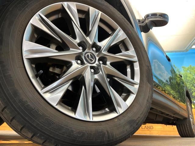 24602203_carP_l_7.jpg