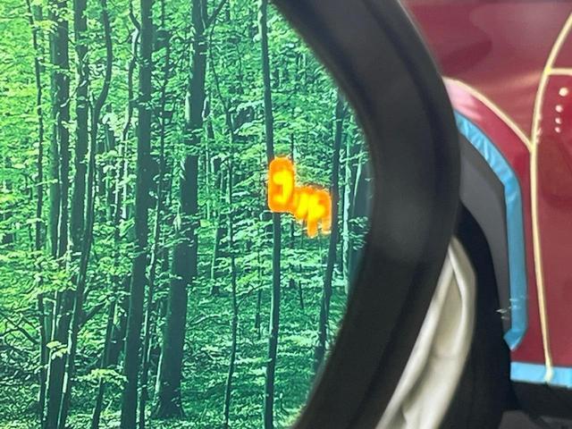23904360_carP_l_10.jpg
