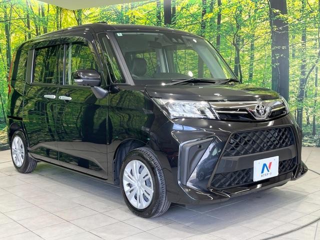 25137769_carP_l_11.jpg