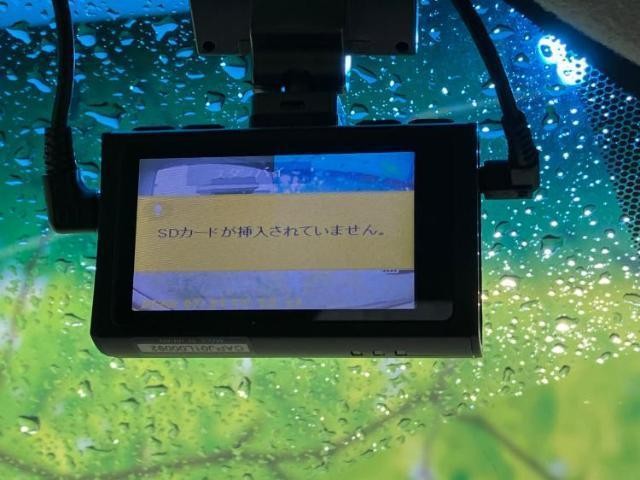 24918289_carP_l_6.jpg