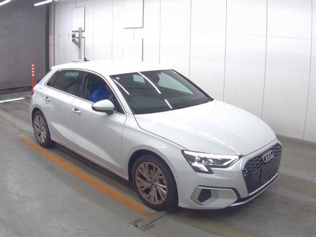 24481487_carP_l_10.jpg
