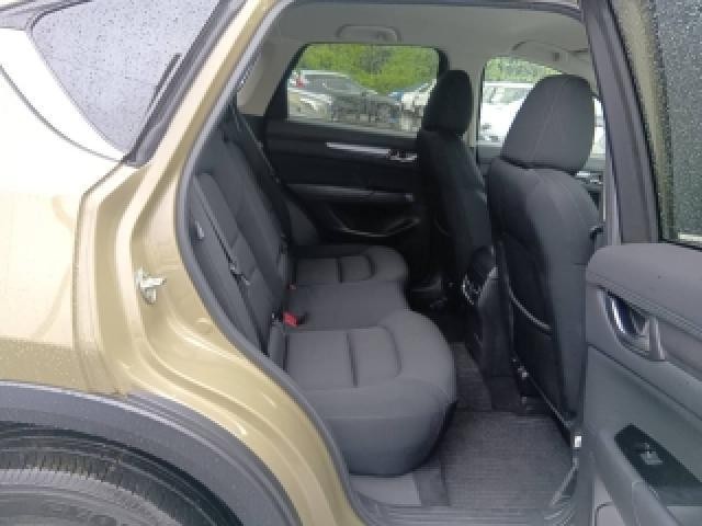 25200301_carP_l_10.jpg