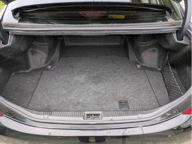 21741795_carP_l_14.jpg