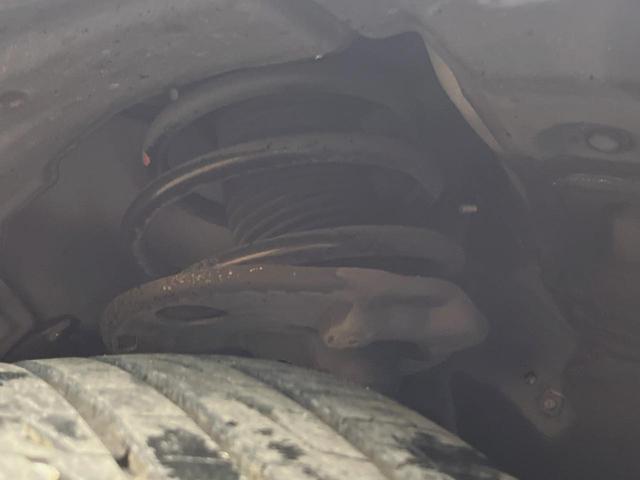 24239010_carP_l_20.jpg
