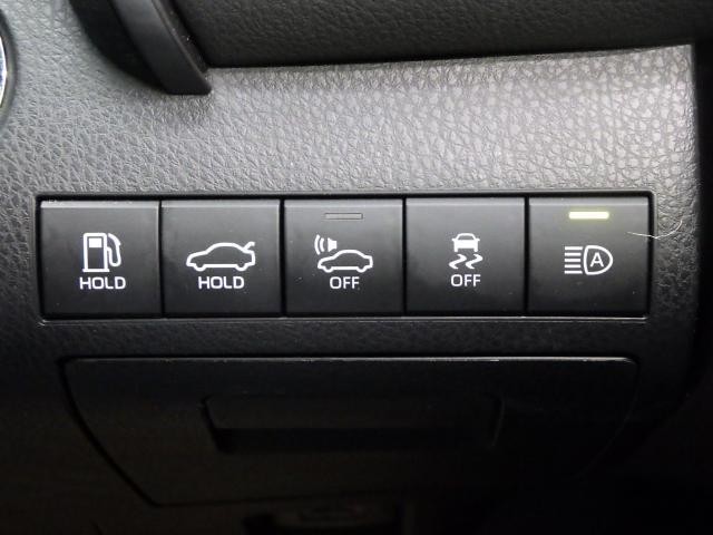 27177069_carP_l_10.jpg