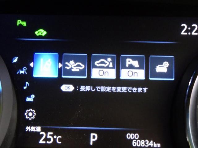 27177069_carP_l_4.jpg
