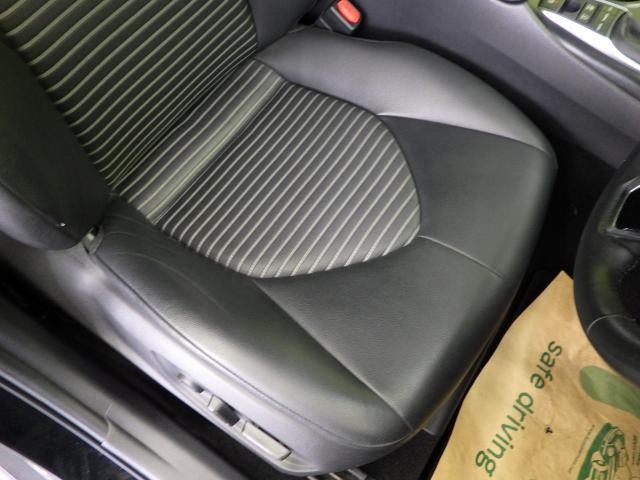 27177069_carP_l_5.jpg