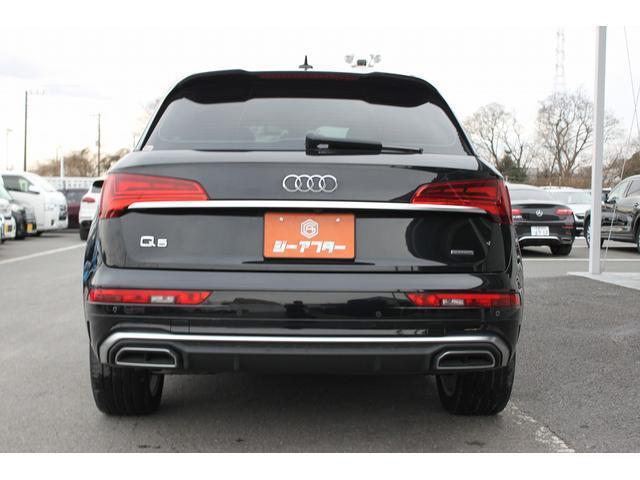 22713356_carP_l_12.jpg