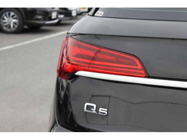 22713356_carP_l_16.jpg