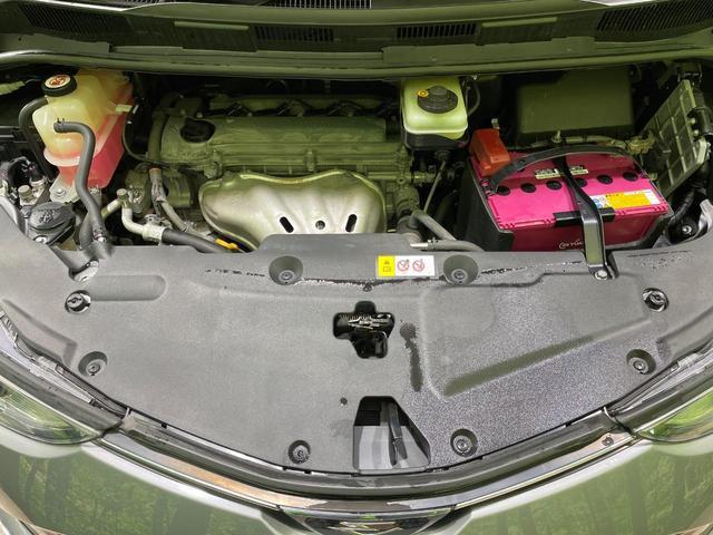 23556351_carP_l_18.jpg