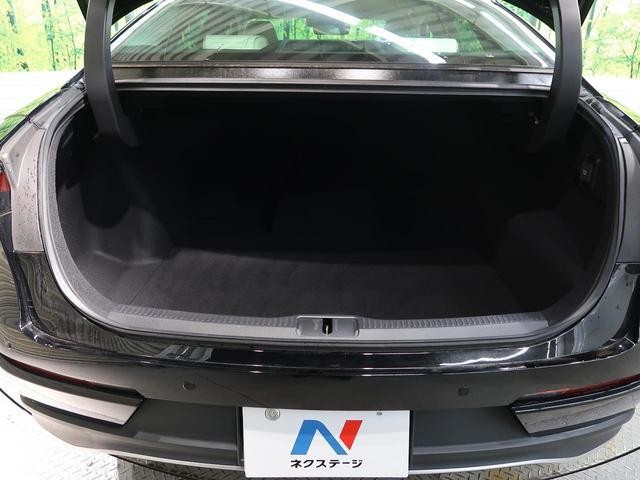 25096150_carP_l_6.jpg
