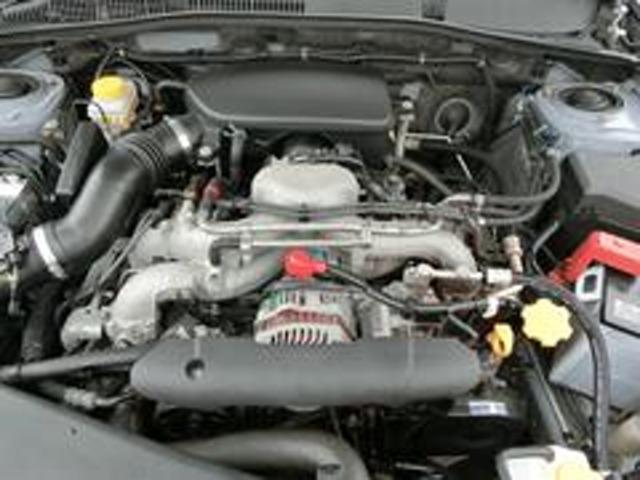 17949006_carP_l_16.jpg
