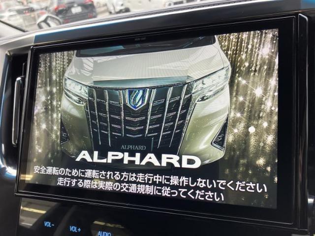 21990211_carP_l_19.jpg