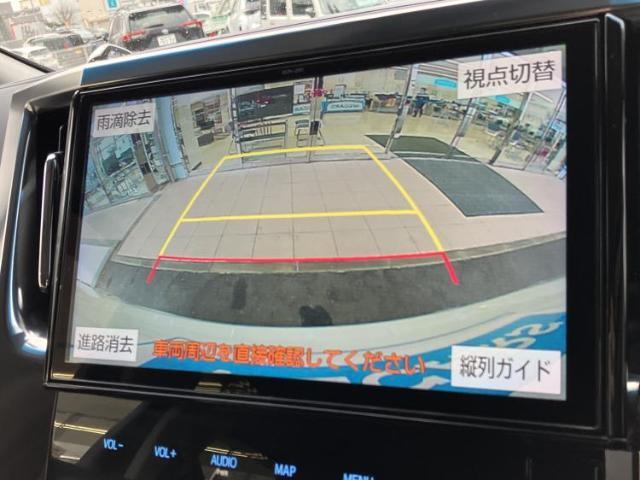 21990211_carP_l_8.jpg