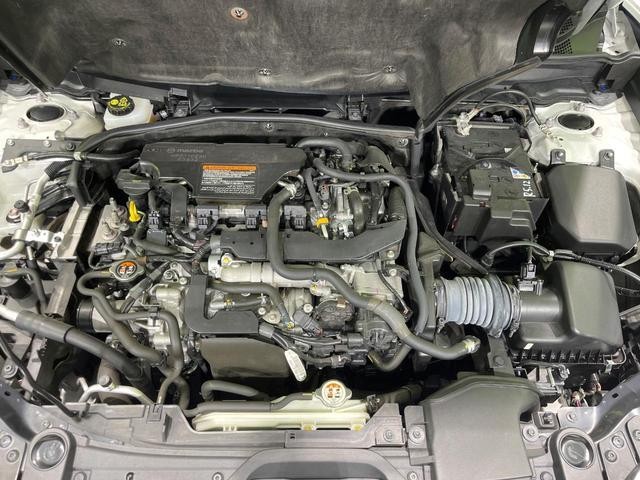 24828770_carP_l_16.jpg