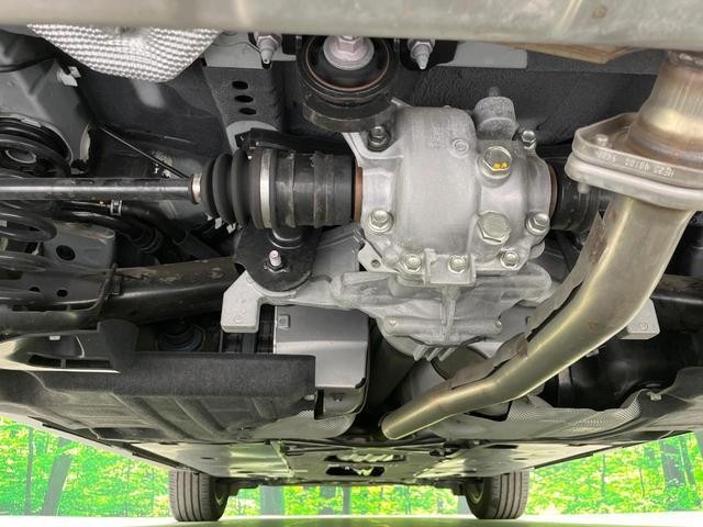 24828770_carP_l_18.jpg