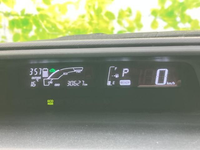 22519579_carP_l_6.jpg