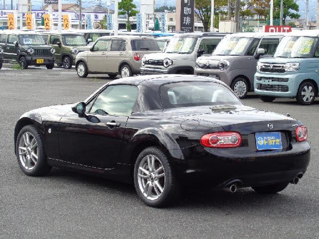 26127491_carP_l_3.jpg