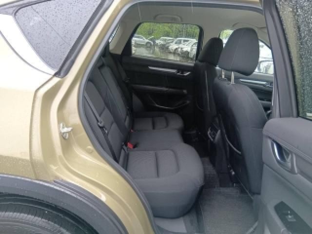 25200337_carP_l_10.jpg