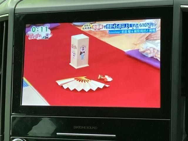 23482828_carP_l_7.jpg