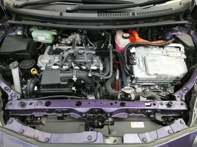 26329720_carP_l_5.jpg