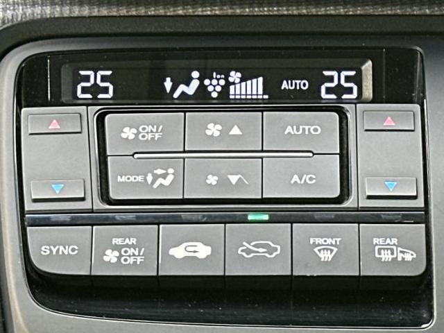 21914578_carP_l_7.jpg