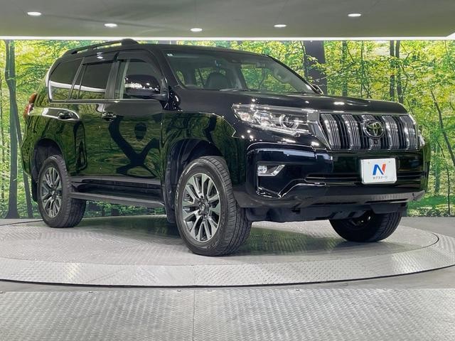 25303889_carP_l_11.jpg