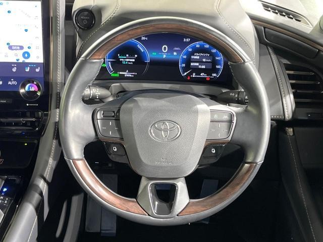 24891837_carP_l_8.jpg
