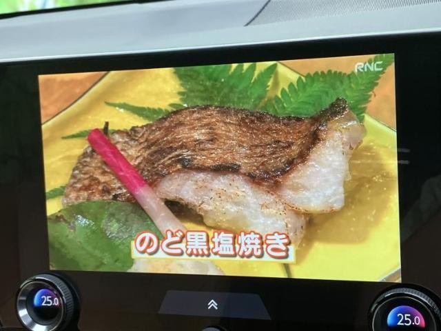25101945_carP_l_6.jpg