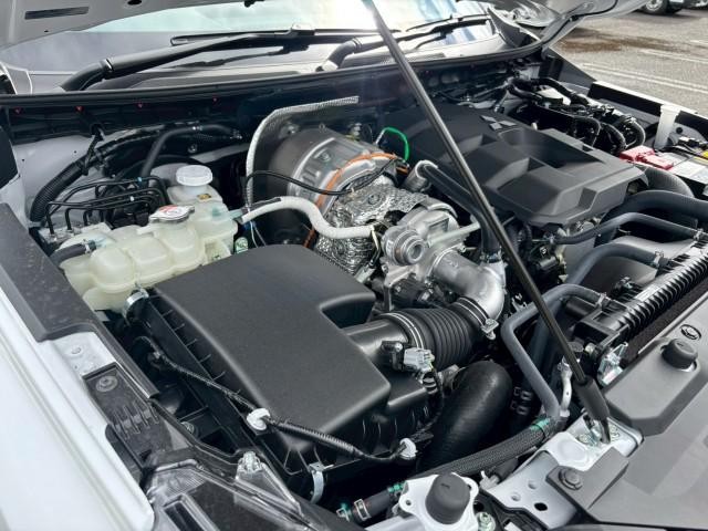 20066885_carP_l_2.jpg
