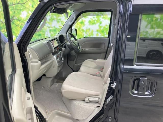 25549970_carP_l_13.jpg