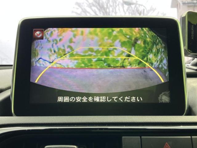21914930_carP_l_5.jpg