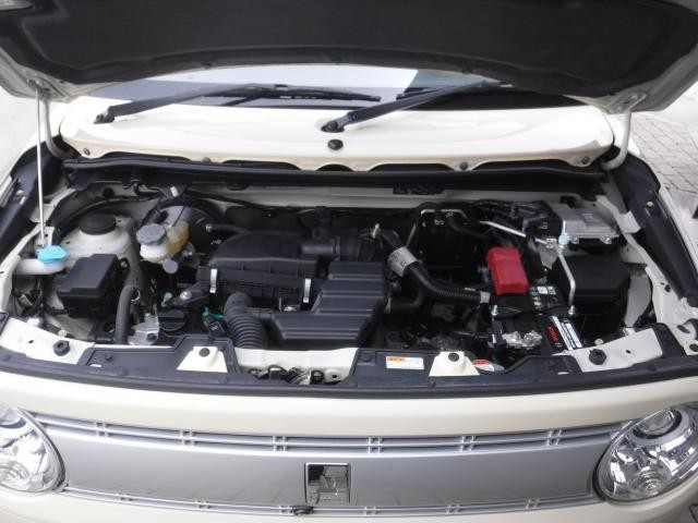 22728873_carP_l_18.jpg