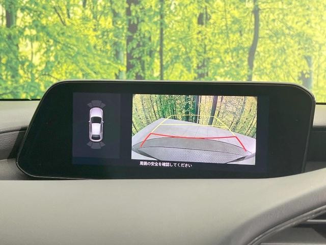25445658_carP_l_13.jpg