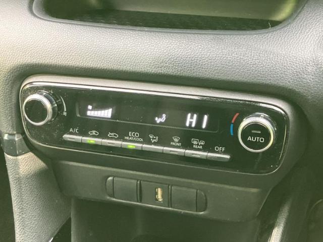 22076752_carP_l_6.jpg