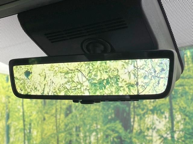 23555768_carP_l_14.jpg