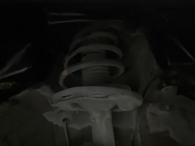 24030218_carP_l_20.jpg