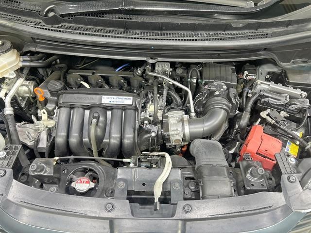 25445951_carP_l_16.jpg