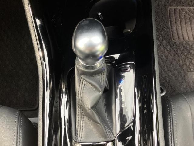 23027867_carP_l_11.jpg