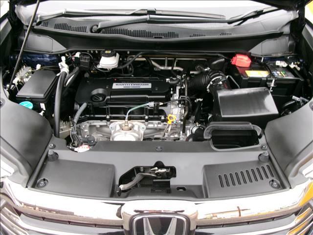 23173608_carP_l_18.jpg