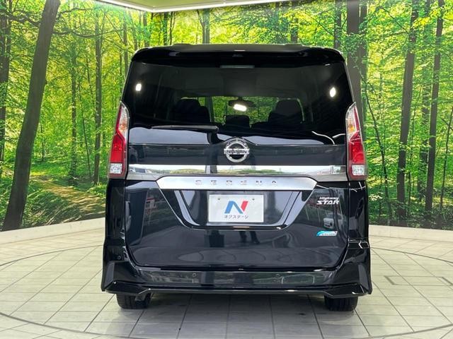 24912833_carP_l_11.jpg