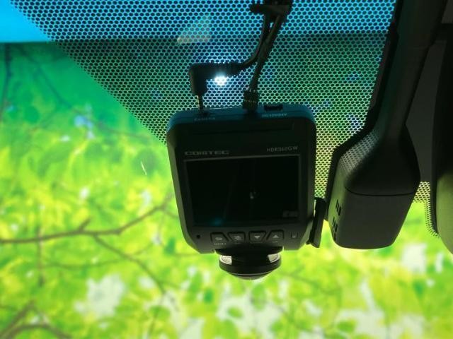 24906624_carP_l_8.jpg