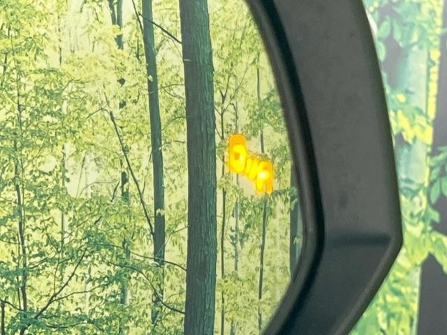 23654648_carP_l_13.jpg