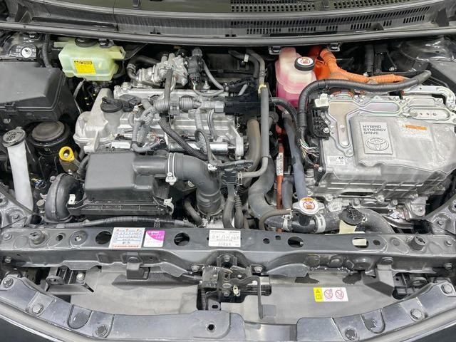 25466706_carP_l_16.jpg